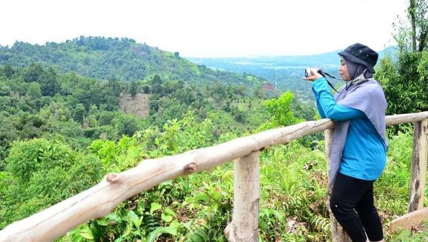 Bukit Kambo