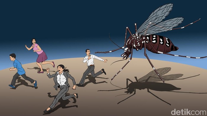 Ilustrasi detikX Wabah Demam Berdarah