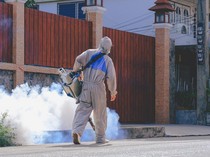 Kasus Capai 9.700 di Bali, 14 Orang Tewas gegara DBD Sejak Awal 2025