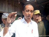Jokowi Akui Harga Beras Medium Belum Turun Drastis