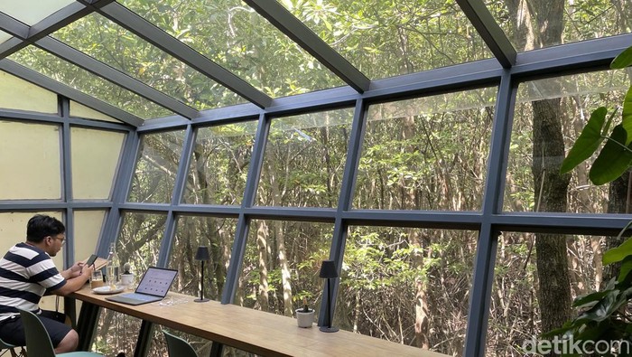 Koffietons Mangrove, Tuban, Badung, Bali