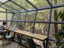 Kafe Estetik di Tuban, Punya View Hutan Mangrove