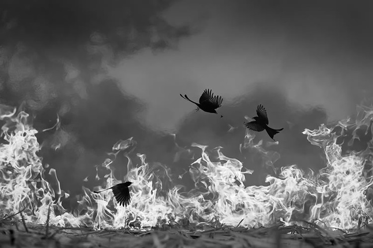 Monochrome Black and White Photography Awards 2023