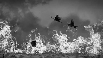 Honorable Mentions Baiju Patil (India) Foto: Monochrome Black and White Photography Awards