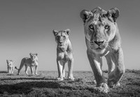 Monochrome Black and White Photography Awards 2023