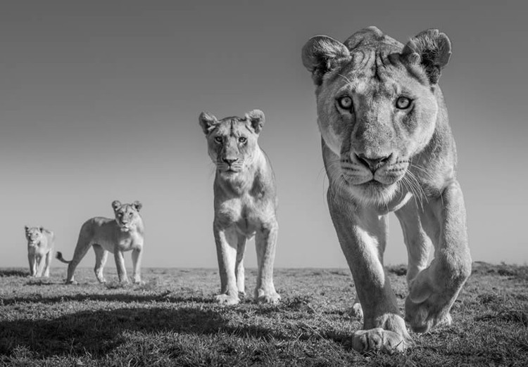 Monochrome Black and White Photography Awards 2023