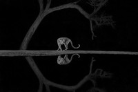 Monochrome Black and White Photography Awards 2023