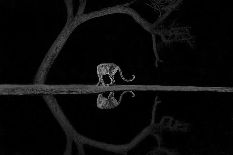 Monochrome Black and White Photography Awards 2023