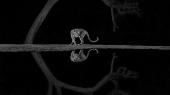Honorable Mentions  Richard Li (Hong Kong) Foto: Monochrome Black and White Photography Awards