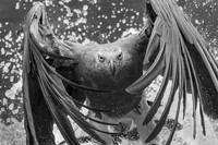 Monochrome Black and White Photography Awards 2023