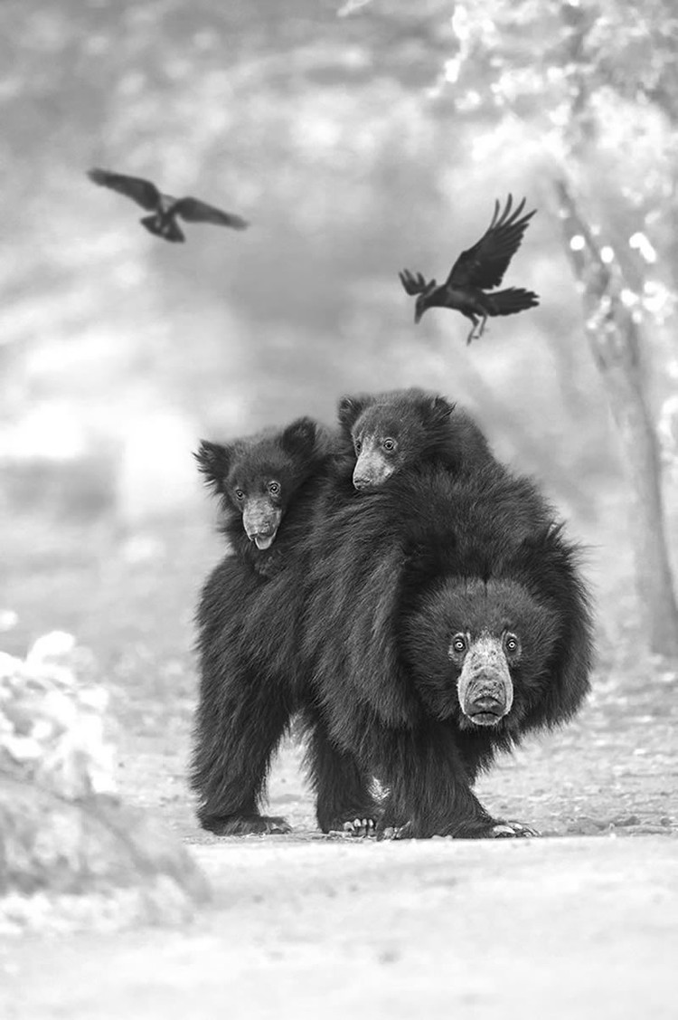 Monochrome Black and White Photography Awards 2023