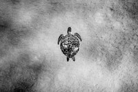 Monochrome Black and White Photography Awards 2023