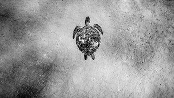 Honorable Mentions Daniel Newton (United Arab Emirates) Foto: Monochrome Black and White Photography Awards