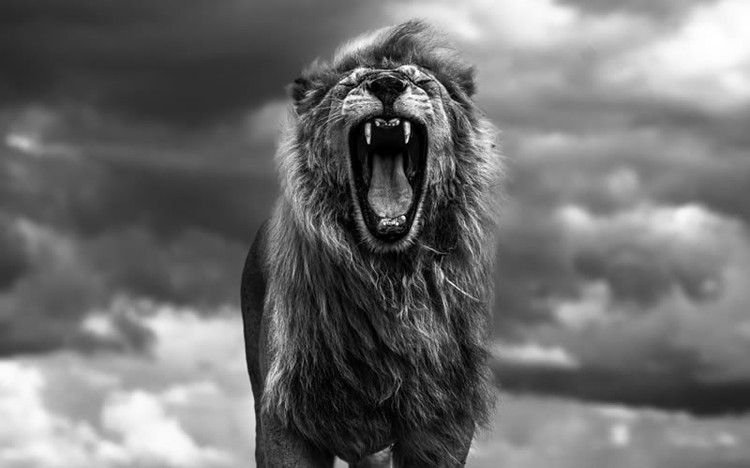 Monochrome Black and White Photography Awards 2023