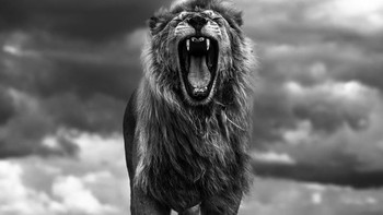 Honorable Mentions William Fortescue (Inggris) Foto: Monochrome Black and White Photography Awards