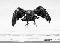 Monochrome Black and White Photography Awards 2023