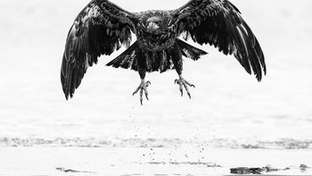 Honorable Mentions Eric Kanigan (Amerika Serikat) Foto: Monochrome Black and White Photography Awards