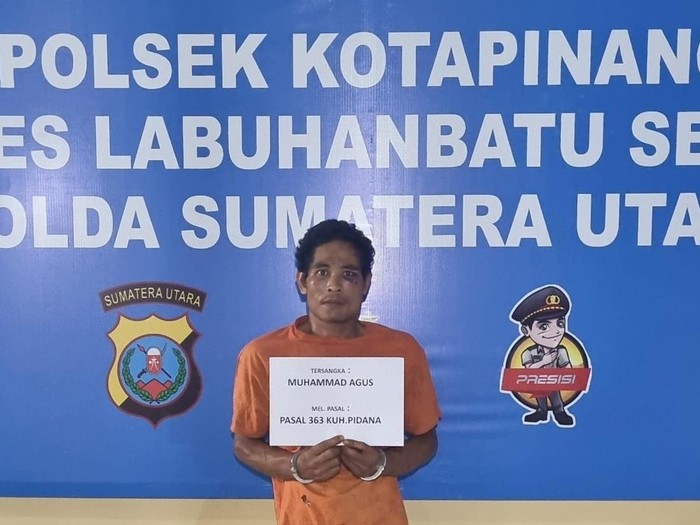 Muhammad Agus (27) ditangkap usai mencuri emas milik emak-emak di Labusel