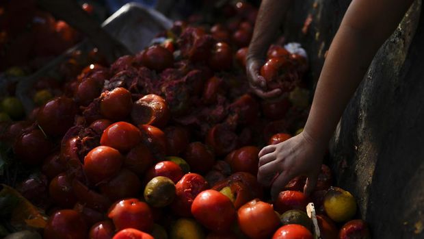 Orang-orang memilih tomat bekas untuk dibawa pulang, di luar pasar di pinggiran Buenos Aires, Argentina, Rabu, 10 Januari 2024. (AP Photo/Natacha Pisarenko)