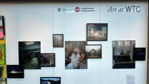Pameran Seni Ireland's Eye di WTC Jakarta
