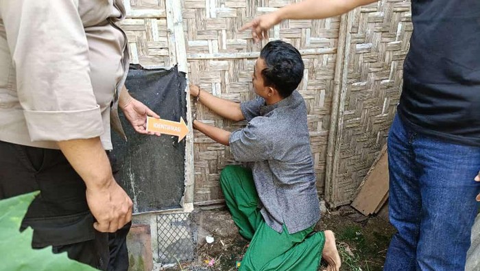 Pelaku pencurian sapi di Jember memperagakan aksinya