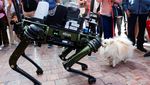 Potret Robot Anjing yang Bakal Atur Lalu Lintas di Spanyol