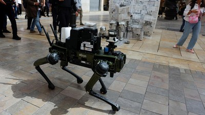 Potret Robot Anjing yang Bakal Atur Lalu Lintas di Spanyol