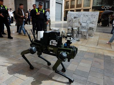 Potret Robot Anjing yang Bakal Atur Lalu Lintas di Spanyol