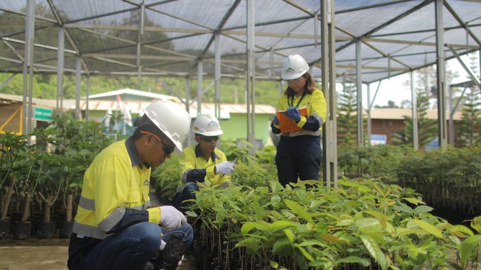PT Bumi Suksesindo Serius Garap Nursery untuk Sukseskan Reklamasi