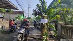 Potret Jalanan Rusak di Sidoarjo Jadi Kebun Pisang