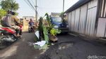 Potret Jalanan Rusak di Sidoarjo Jadi Kebun Pisang