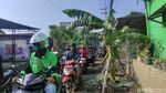 Potret Jalanan Rusak di Sidoarjo Jadi Kebun Pisang