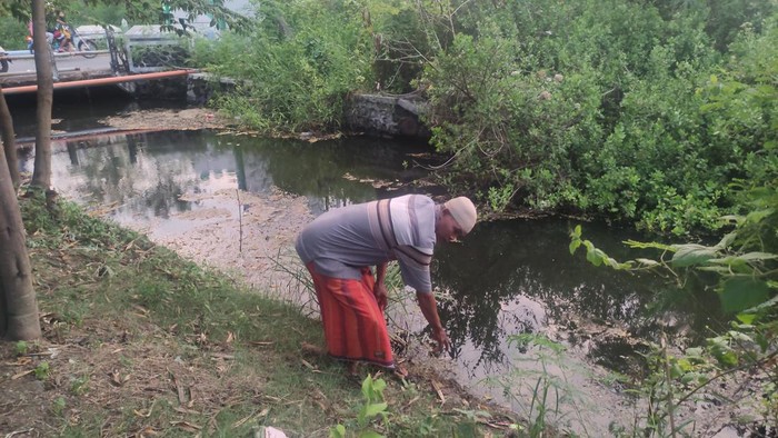 Sukardi menunjukkan lokasi penampakan buaya di Sidoarjo