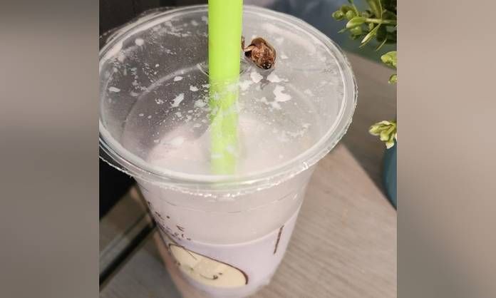Apes! Minum Susu Kedelai Dapat 'Bonus' Seekor Kecoa