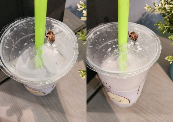 Apes! Minum Susu Kedelai Dapat ‘Bonus’ Seekor Kecoa
