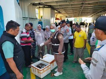 Balai Karantina Gorontalo Gagalkan Penyelundupan 180 Ekor Bangkai Tikus