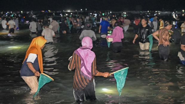 Warga dan wisatawan mencari nyale (cacing laut warna-warni) pada Festival Pesona Bau Nyale 2024 di Pantai Seger Kawasan Ekonomi Khusus (KEK) Mandalika, Kuta, Praya, Lombok Tengah, NTB.