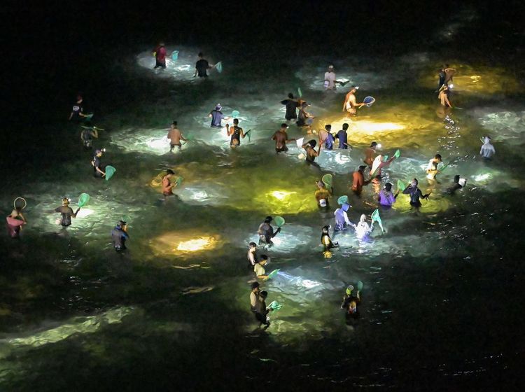 Berburu Cacing Jelmaan Putri Mandalika di Festival Bau Nyale