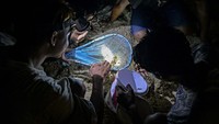 Proses menangkap nyale biasa dilakukan di pagi hari menjelang waktu subuh. Sebagian masyarakat sudah datang ke kawasan Pantai Seger, Mandalika, Lombok Tengah yang menjadi salah satu lokasi untuk menangkap nyale sejak pukul 03.30 Wita. 