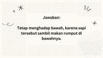 Cuaca Panas Terik Bikin Nggak Bisa Mikir? Bisa Jadi, Coba Buktikan di Sini