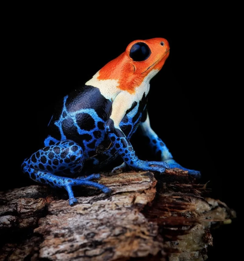 Kata Beracun Tapi Bikin Terpesona