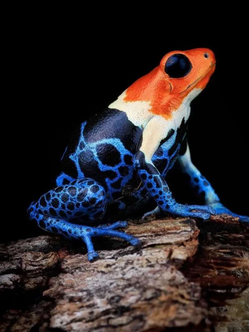 Kata Beracun Tapi Bikin Terpesona