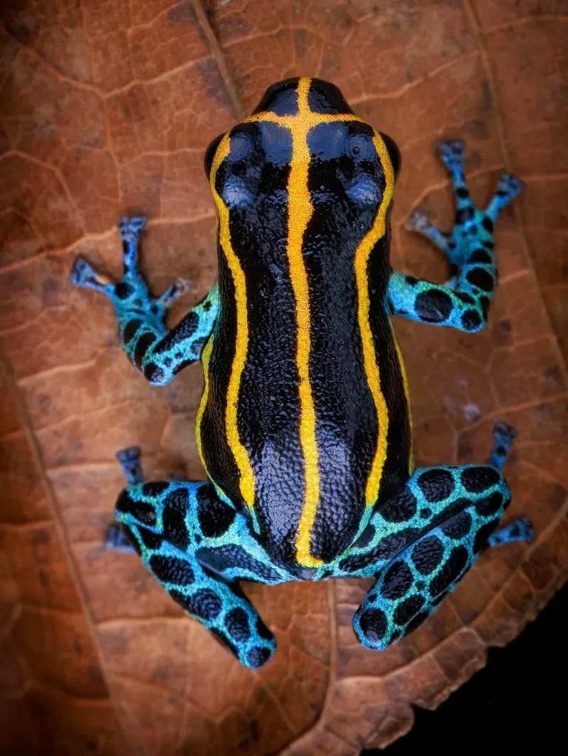 Kata Beracun Tapi Bikin Terpesona