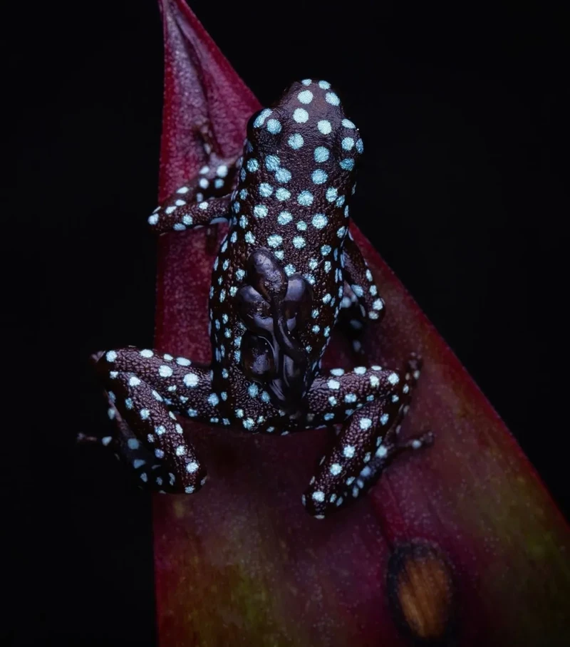 Kata Beracun Tapi Bikin Terpesona