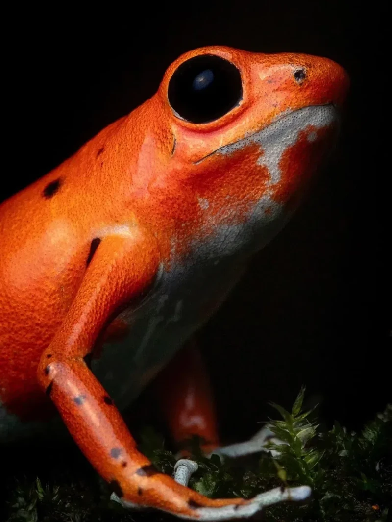 Kata Beracun Tapi Bikin Terpesona