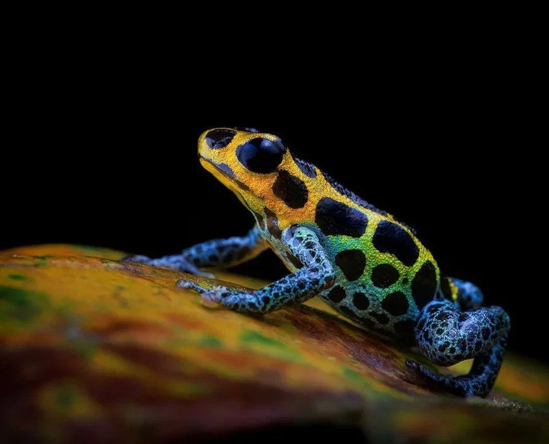 Kata Beracun Tapi Bikin Terpesona