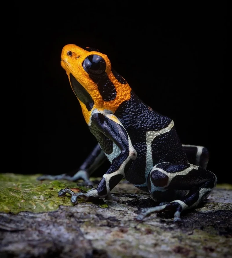 Kata Beracun Tapi Bikin Terpesona