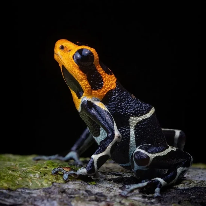 Kata Beracun Tapi Bikin Terpesona