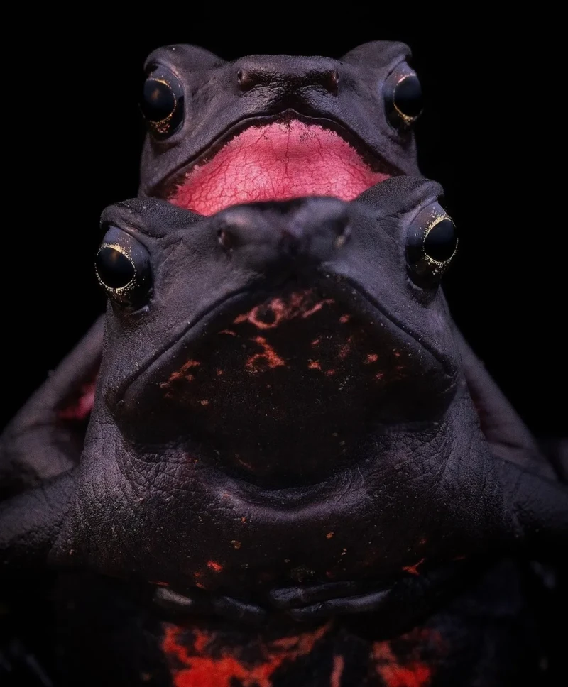 Kata Beracun Tapi Bikin Terpesona