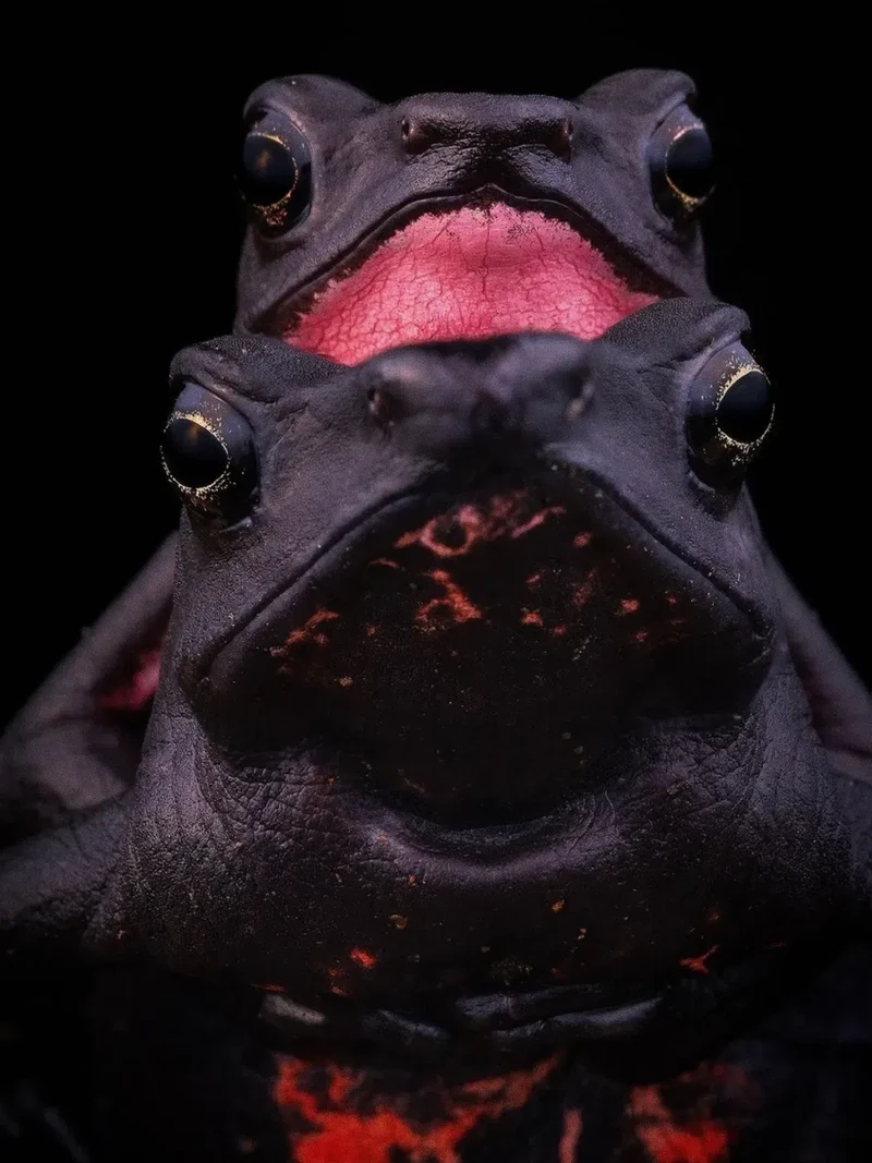 Kata Beracun Tapi Bikin Terpesona